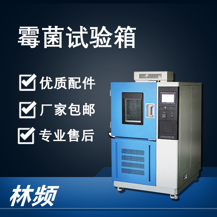 制藥穩(wěn)定性測(cè)試：霉菌試驗(yàn)箱的創(chuàng)新應(yīng)用